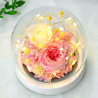 Eternal Rose Glass Cover Gift Box - Preserved Christian Floral Keepsake