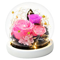 Eternal Rose Glass Cover Gift Box - Preserved Christian Floral Keepsake