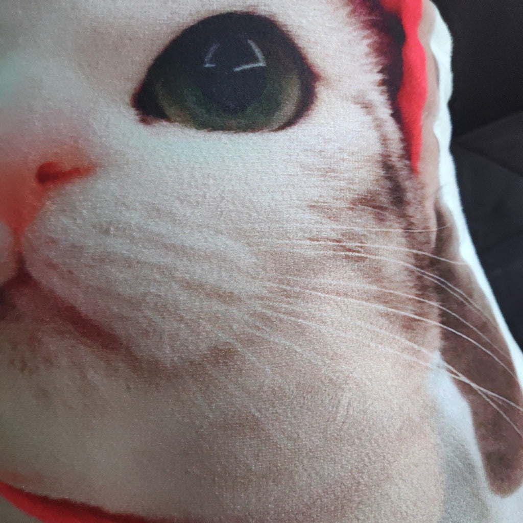 DIY Customized Irregular-shaped Throw Pillows What Else You Got?