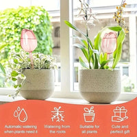 Pink Tulip Plant Watering Bulbs - Automatic Self-Watering Drippers for Indoor & Outdoor Plants - Elegant Glass Plant Care