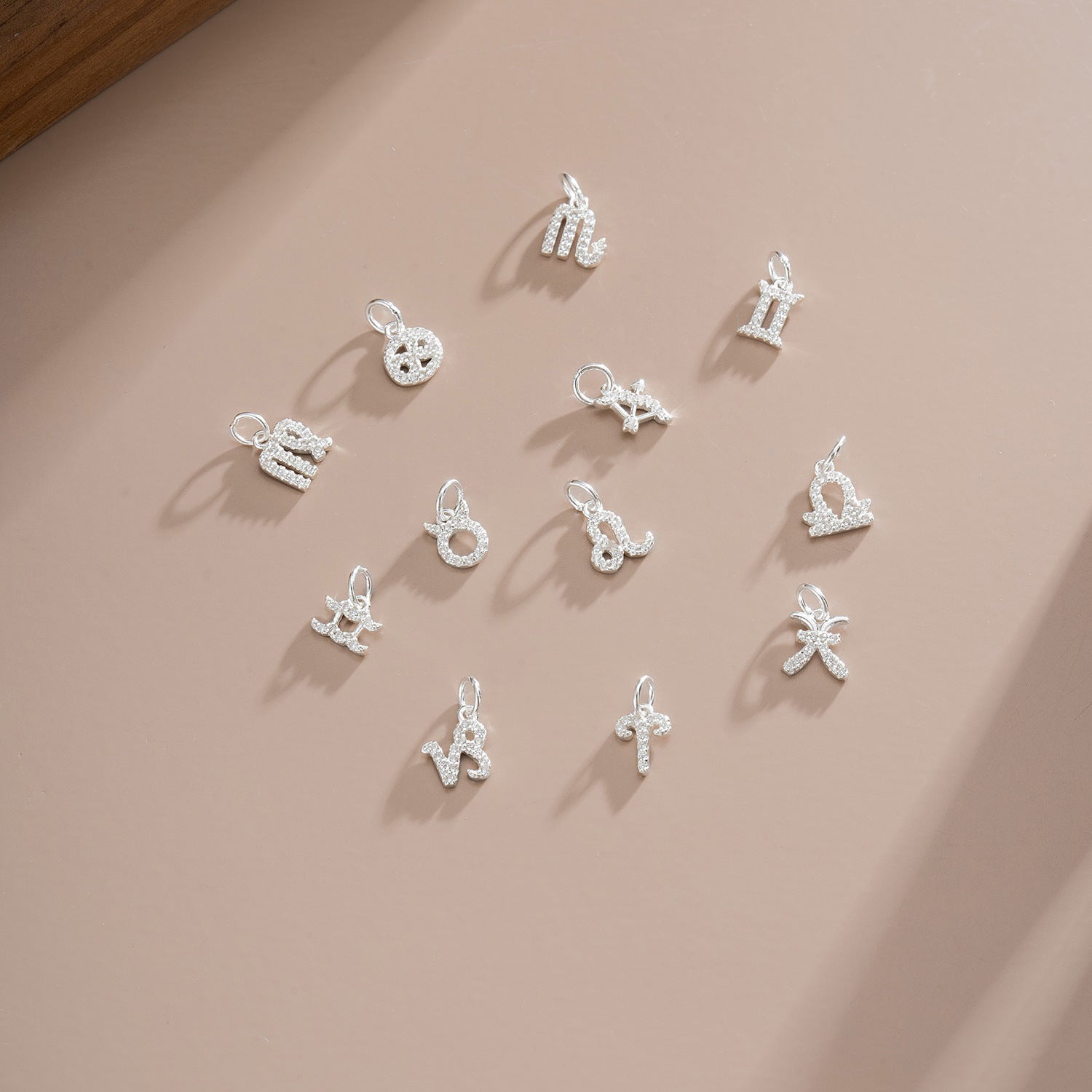 S925 Silver 12 Zodiac Sign Pendant What Else You Got?