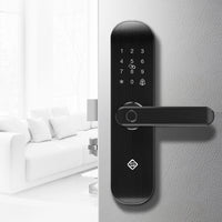 Fingerprint password lock