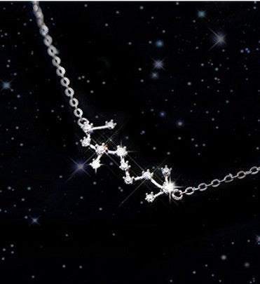 Twelve Zodiac S925 Sterling Silver Necklace Lady What Else You Got?
