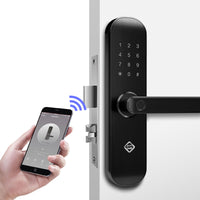 Fingerprint password lock