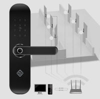 Fingerprint password lock
