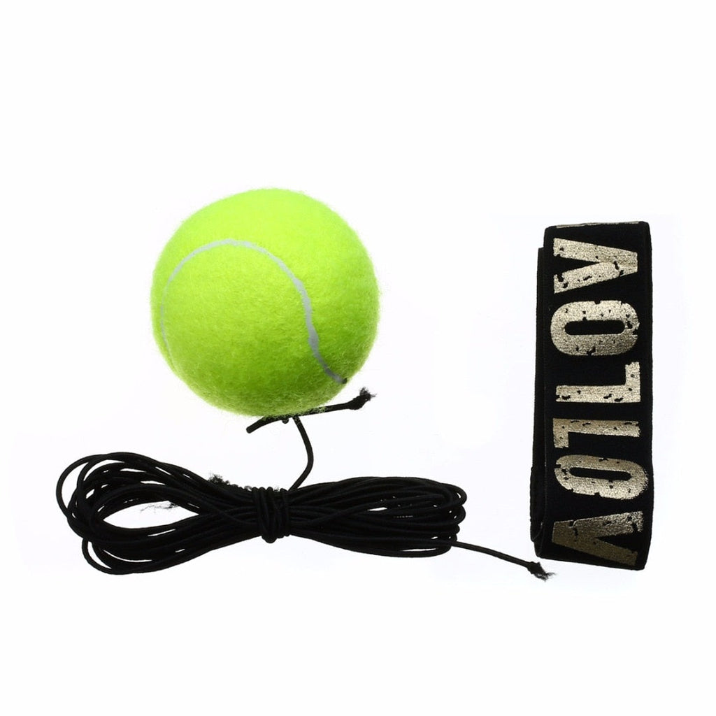 Boxing Reflex Speed Punch Ball What Else You Got?