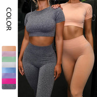 DivineFit™ Seamless Yoga Sport Set - Women's Moisture-Wicking Athleisure Set