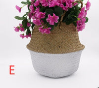 Boho Seagrass Belly Basket – Handwoven Organizer for Plants, Laundry & Toys | Natural Storage Basket