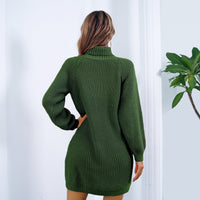 Elegant Winter Turtleneck Sweater Dress - Button Design, Long Sleeve & Cozy Fit for Women