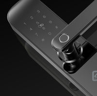 Fingerprint password lock