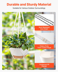 Self-Watering Hanging Planters 10