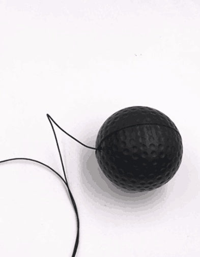 Boxing Reflex Speed Punch Ball What Else You Got?