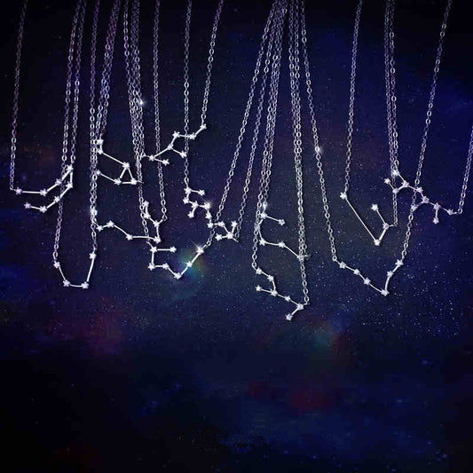 Twelve Zodiac S925 Sterling Silver Necklace Lady What Else You Got?