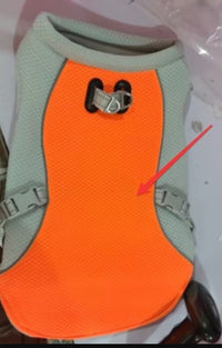 God's Cool Gift: UV-Protective Dog Cooling Vest for Summer Walks - Keeps Pets Safe & Comfortable