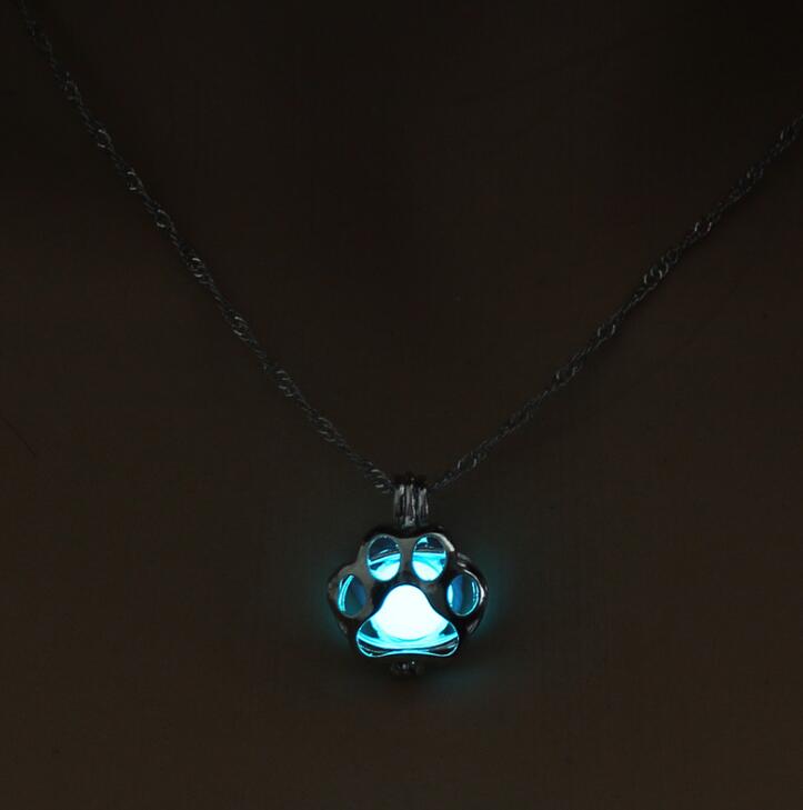 Glow‑in‑the‑Dark Paw Pendant Necklace – Silver‑Plated Chain for Pet Lovers (Unisex) What Else You Got?