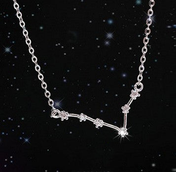 Twelve Zodiac S925 Sterling Silver Necklace Lady What Else You Got?