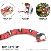 Divine Pet Play: Interactive Smart Snake Toy for Cats & Dogs – USB Rechargeable, Built-in Catnip, Lifelike Motion & Sound – Perfect for Pet Enrichment & Fun (Black)