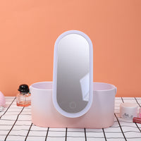 Portable Makeup Organizer with LED Mirror – Travel Cosmetic Storage Case