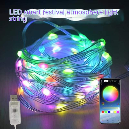 Smart Point Control Voice Control Lighting Chain Mobile Phone Bluetooth APP Control What Else You Got?