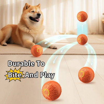 Electric Dog Jumping Ball – Automatic Luminous Bouncing Toy for Active Pups
