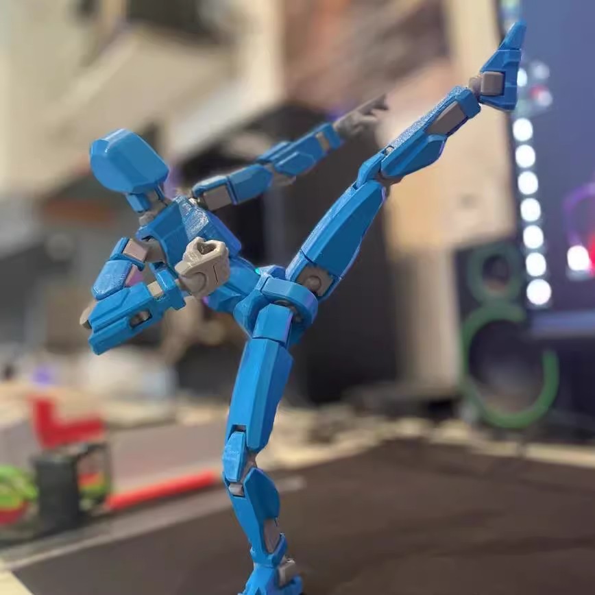 Multi-Jointed Movable Shapeshift Robot 2.0 3D Printed Mannequin Dummy Action Model Doll Toy Kid Gift What Else You Got?