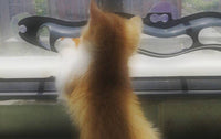 Window-Mounted Cat Track Ball Toy & Climbing Frame – Interactive Windowsill Play Rail for Indoor Cats