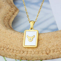 Stainless Steel Zodiac Constellation Necklace