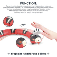 Divine Pet Play: Interactive Smart Snake Toy for Cats & Dogs – USB Rechargeable, Built-in Catnip, Lifelike Motion & Sound – Perfect for Pet Enrichment & Fun (Black)