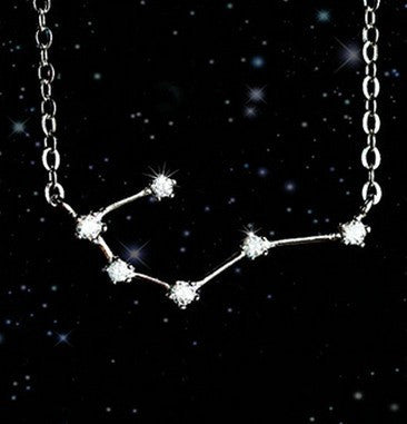 Twelve Zodiac S925 Sterling Silver Necklace Lady What Else You Got?