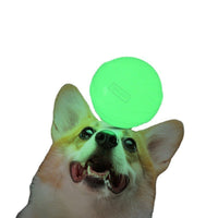 Glow-in-the-Dark Puppy Chew Ball – Durable Light-Up Rubber Toy for Playtime