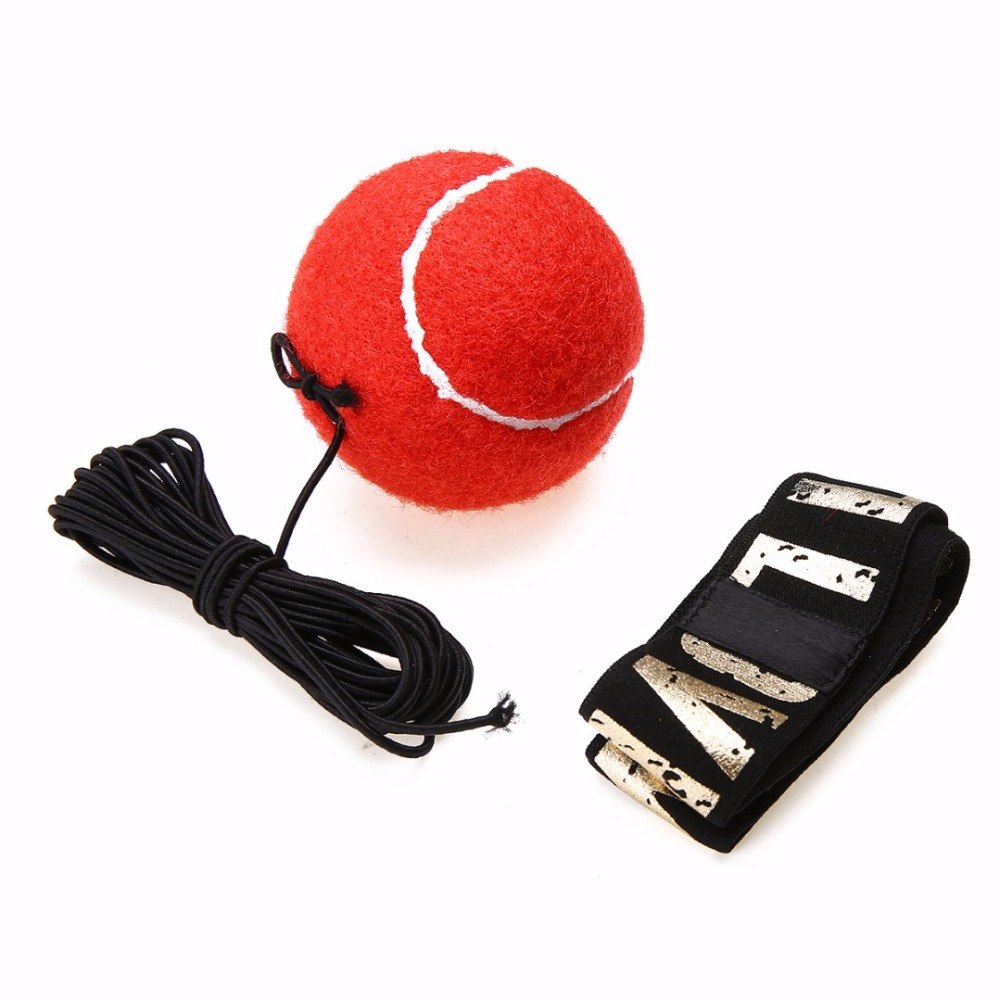 Boxing Reflex Speed Punch Ball What Else You Got?