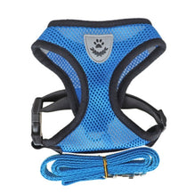 Stylish & Comfortable Multi-Color Christian Dog Harness - Perfect for Your Beloved Pet