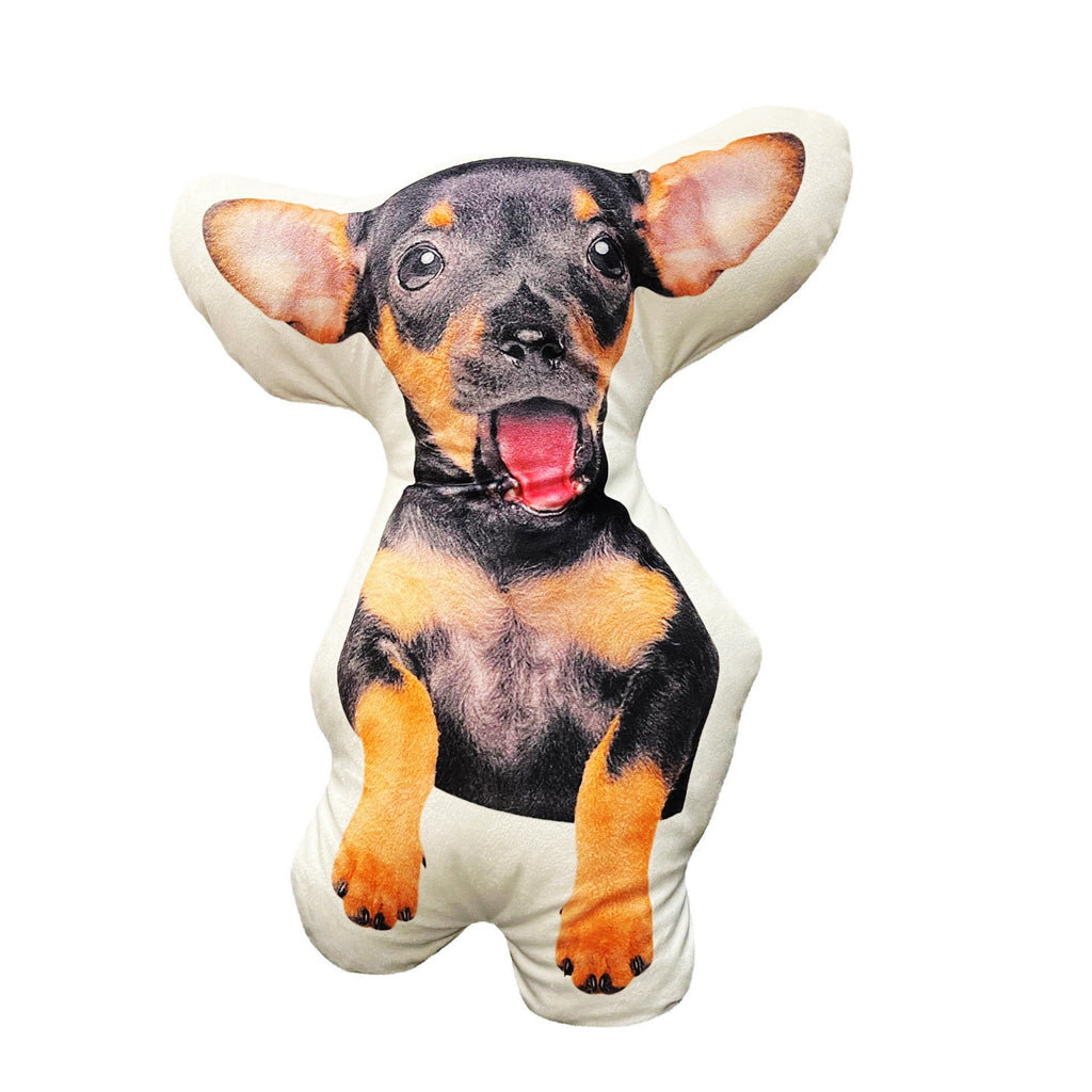 Customized Alien Throw Pillow Pet Cartoon What Else You Got?