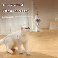 Automatic Cat Teasing Ball – Self-Rolling Interactive Toy for Cats & Dogs