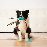 Dog Pull Rope Toy with Suction Cup – TPR Interactive Treat Dispenser & Chew Toy