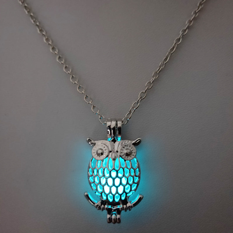 Glow‑in‑the‑Dark Owl Necklace What Else You Got?