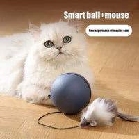 Automatic Cat Teasing Ball – Self-Rolling Interactive Toy for Cats & Dogs