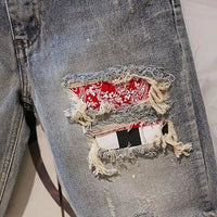 Men's Trendy Distressed Denim Shorts – Streetwear Fashion