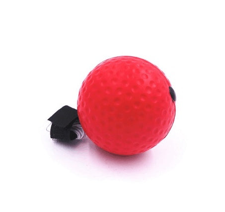 Boxing Reflex Speed Punch Ball What Else You Got?