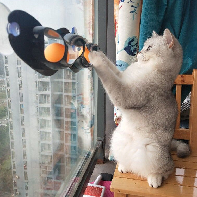 Window-Mounted Cat Track Ball Toy & Climbing Frame – Interactive Windowsill Play Rail for Indoor Cats What Else You Got?