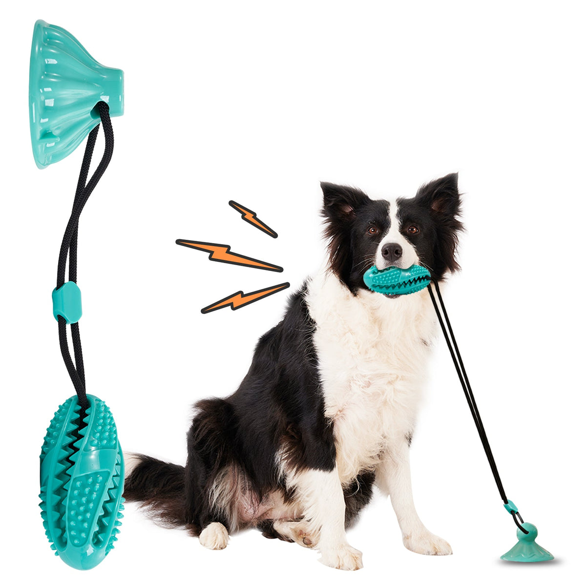 Dog Pull Rope Toy with Suction Cup – TPR Interactive Treat Dispenser & Chew Toy