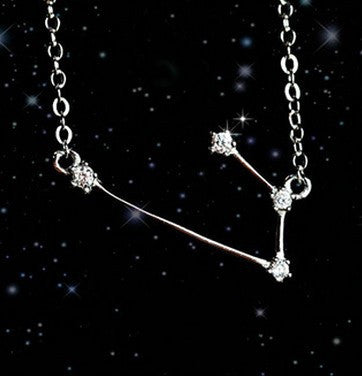 Twelve Zodiac S925 Sterling Silver Necklace Lady What Else You Got?