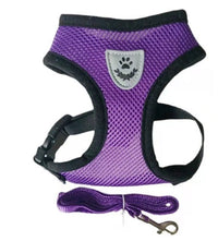 Stylish & Comfortable Multi-Color Christian Dog Harness - Perfect for Your Beloved Pet