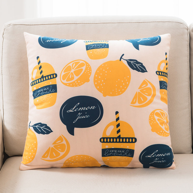 Pillow Sofa Living Room Pillows Bedside What Else You Got?