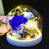 Eternal Rose Glass Cover Gift Box - Preserved Christian Floral Keepsake