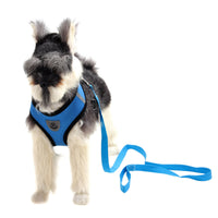 Stylish & Comfortable Multi-Color Christian Dog Harness - Perfect for Your Beloved Pet