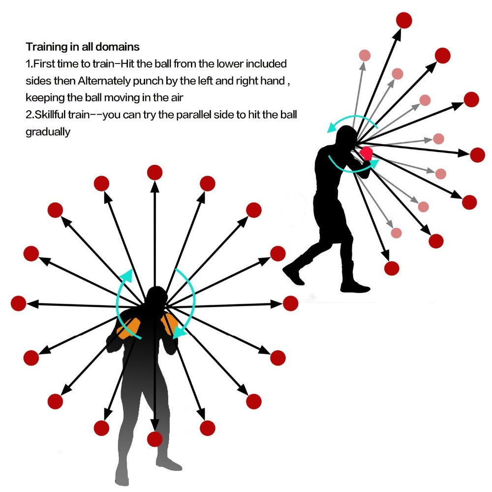 Boxing Reflex Speed Punch Ball What Else You Got?