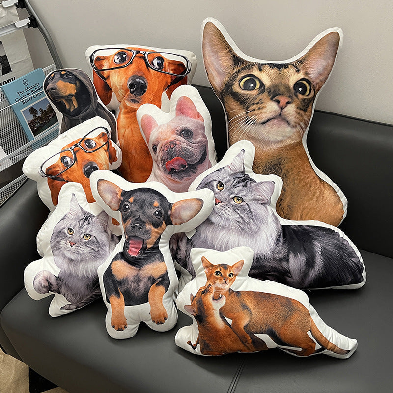 Customized Alien Throw Pillow Pet Cartoon What Else You Got?