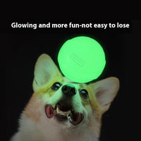 Glow-in-the-Dark Puppy Chew Ball – Durable Light-Up Rubber Toy for Playtime