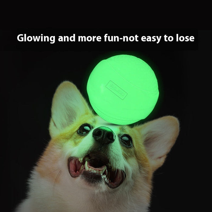 Glow-in-the-Dark Puppy Chew Ball – Durable Light-Up Rubber Toy for Playtime